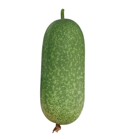 Hạt giống bí đao chanh