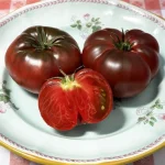 Hạt giống cà chua đen - Ảnh 2
