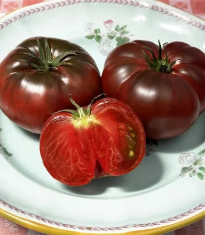 hạt giống cà chua đen