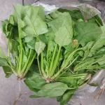 Hạt giống cải bó xôi