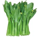 hạt giống cải ngồng
