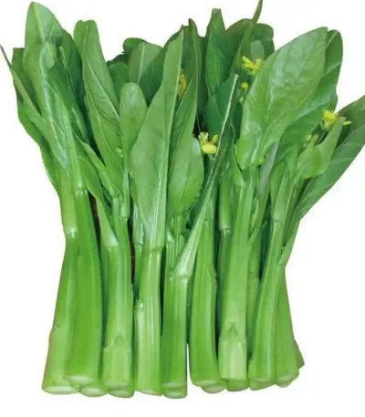 hạt giống cải ngồng