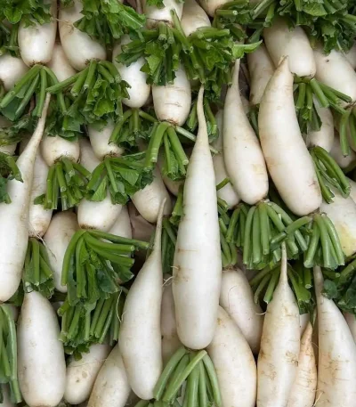 Hạt giống củ cải trắng
