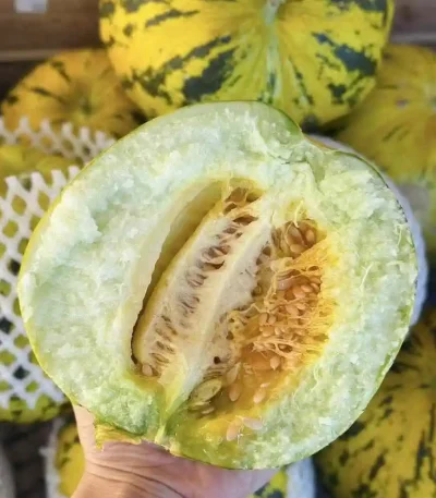 hạt giống dưa bở