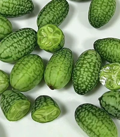 hạt giống dưa hấu tí hon