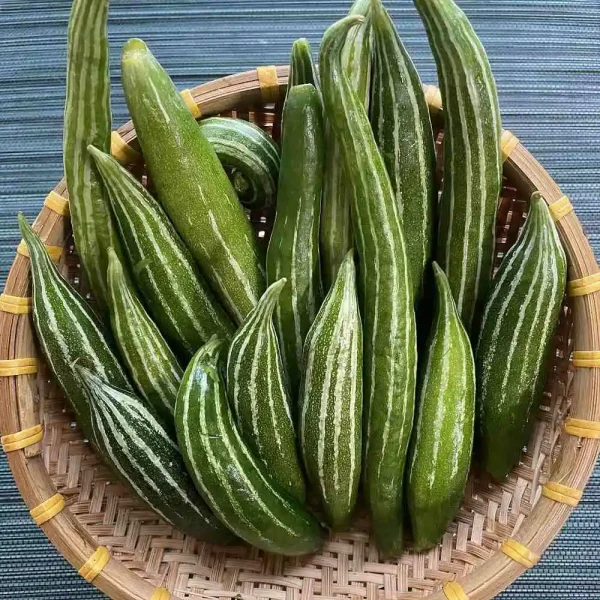 Hạt giống lặc lày