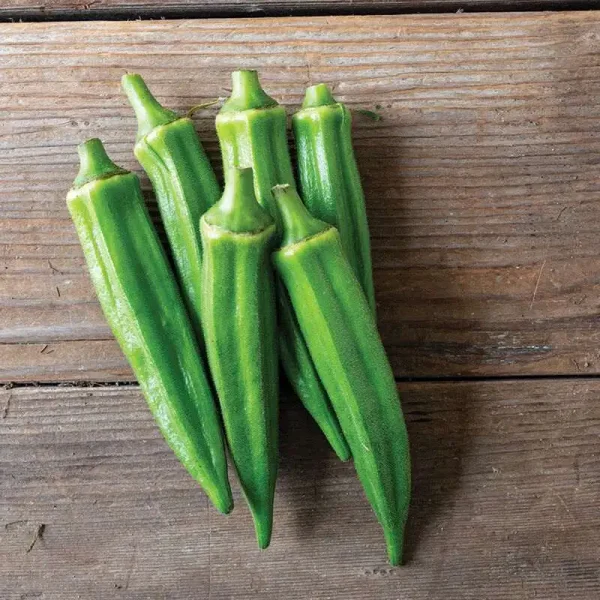 hạt giống đậu bắp lùn