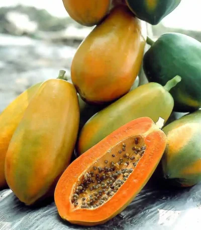 hạt giống đu đủ lùn