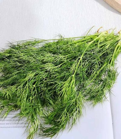 hạt giống thì là,hạt giống rau thì là,hạt giống rau thìa là
