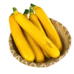 hạt giống bí ngòi vàng