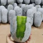 hạt giống bí phấn thơm