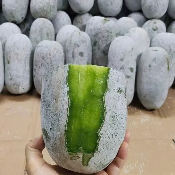 hạt giống bí phấn thơm